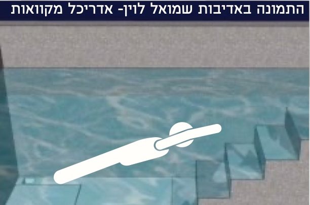 תנוחה 2: כדג