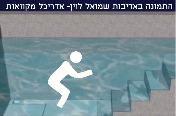 תנוחה 1: כעורכת את הפת